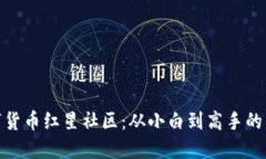 探索数字货币红星社区：从小白到高手的成长之