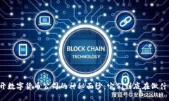 揭开数字货币公司的神秘面纱：它们到底在做什