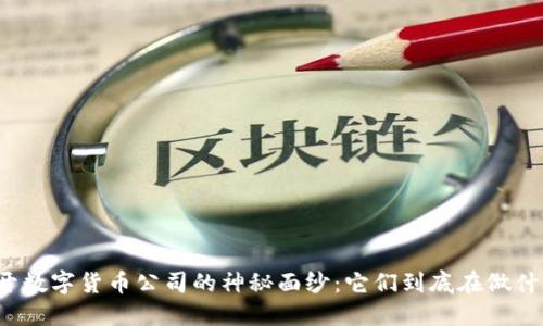 揭开数字货币公司的神秘面纱：它们到底在做什么？