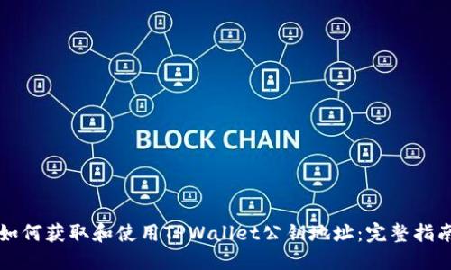 如何获取和使用TPWallet公钥地址：完整指南