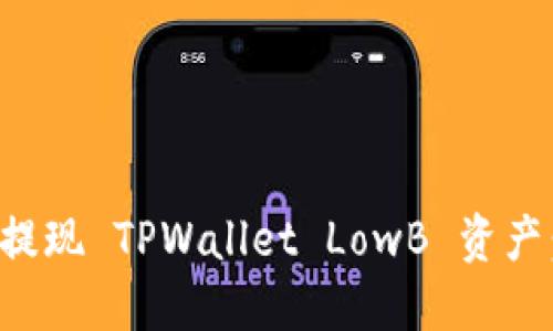 如何高效提现 TPWallet LowB 资产：详细指南