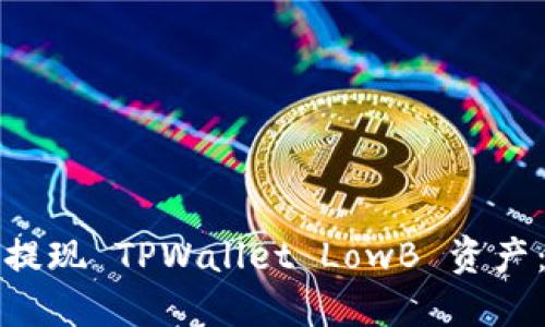 如何高效提现 TPWallet LowB 资产：详细指南