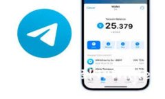 如何将抹茶平台上的币提到TPWallet？详细步骤解析