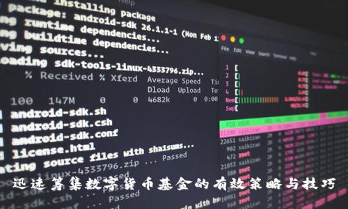 迅速筹集数字货币基金的有效策略与技巧