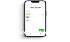 轻松掌握TPWallet中的币种价格查询技巧