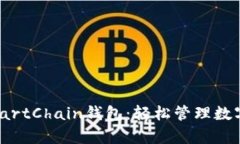全面解析TP的SmartChain钱包：轻松管理数字资产的