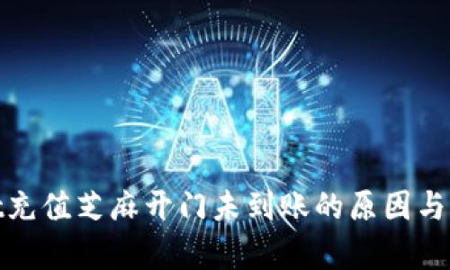 tpwallet充值芝麻开门未到账的原因与解决方案