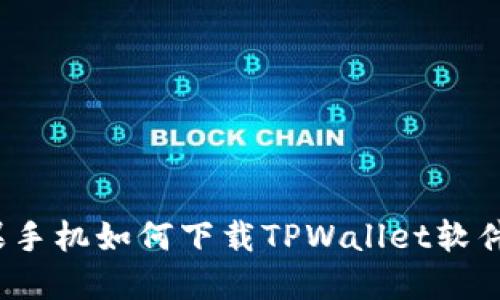  苹果手机如何下载TPWallet软件详解
