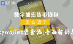 如何查询tpwallet资金池：全面解析与操作指南