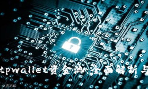 如何查询tpwallet资金池：全面解析与操作指南